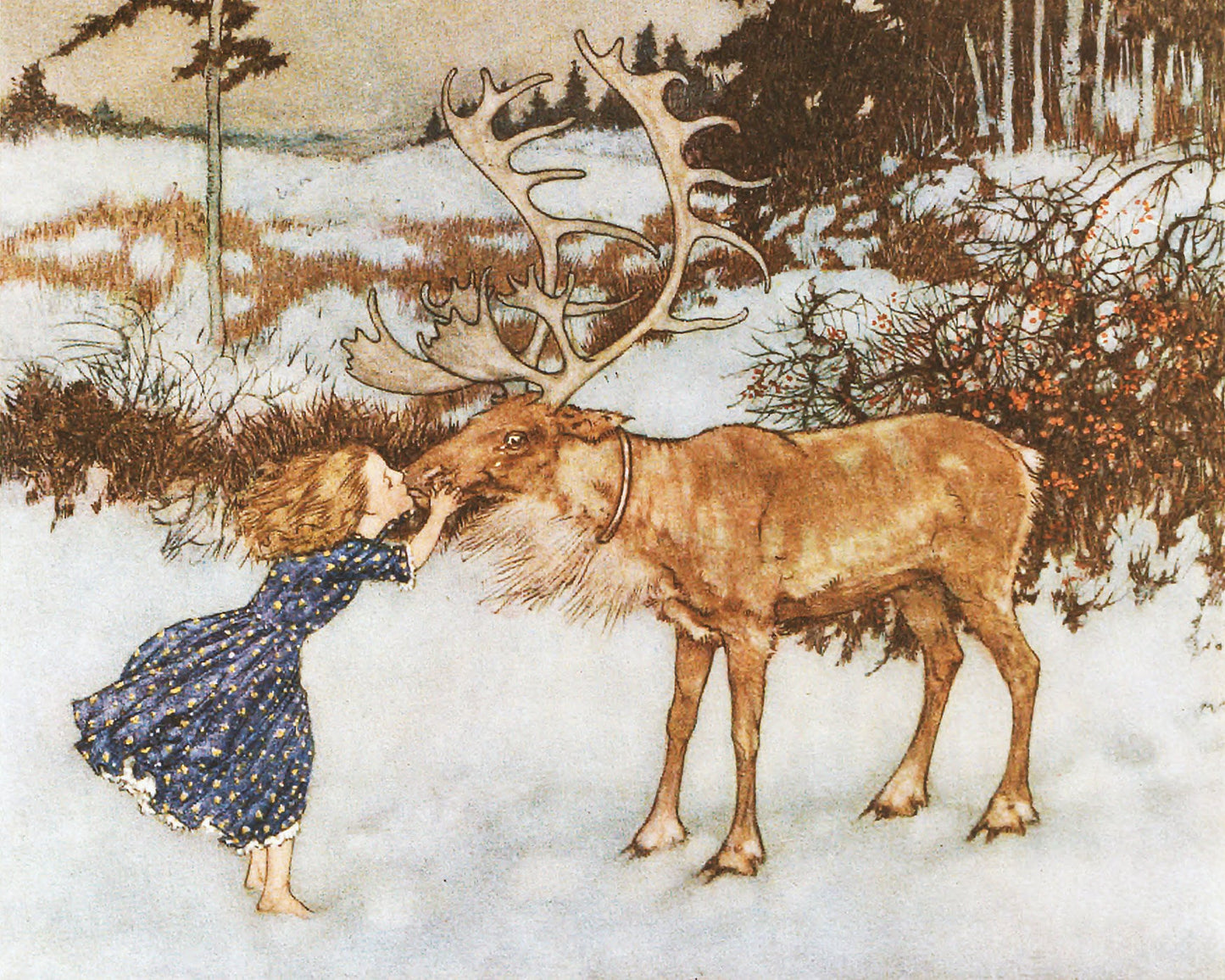Dulce niña besando a un reno | Gerda y el reno | Bosque navideño | Ilustración del libro de Edmund Dulac | Arte mural de fantasía